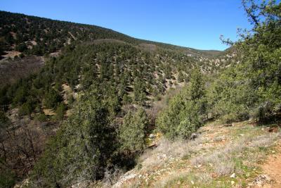 Прикрепленное изображение: A58DSC08259.jpg